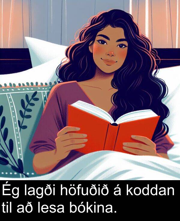 lesa: Ég lagði höfuðið á koddan til að lesa bókina.