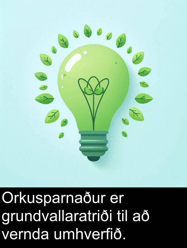 umhverfið: Orkusparnaður er grundvallaratriði til að vernda umhverfið.