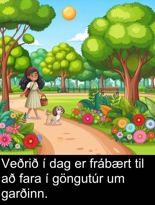 fara: Veðrið í dag er frábært til að fara í göngutúr um garðinn.