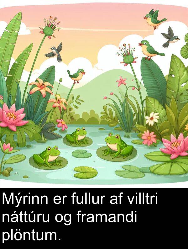 plöntum: Mýrinn er fullur af villtri náttúru og framandi plöntum.