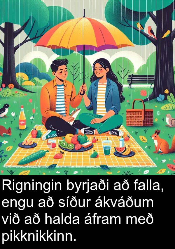 áfram: Rigningin byrjaði að falla, engu að síður ákváðum við að halda áfram með pikknikkinn.