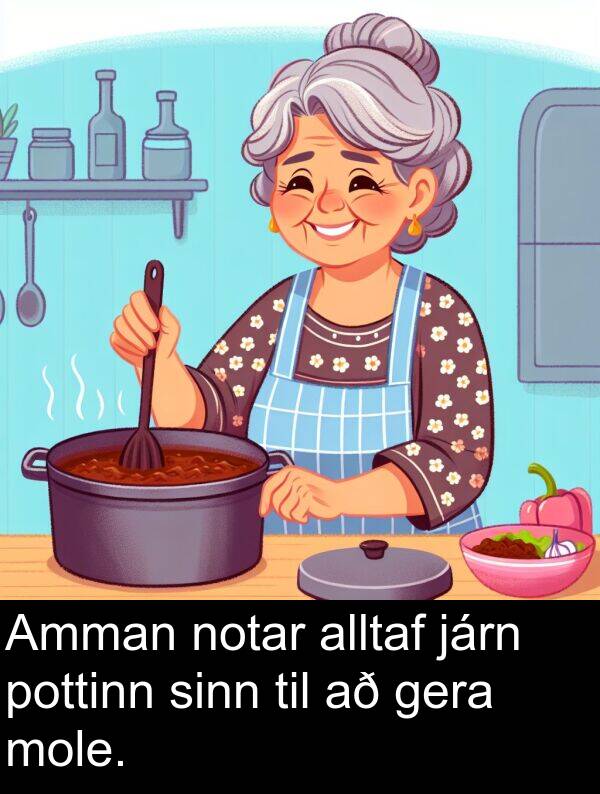 gera: Amman notar alltaf járn pottinn sinn til að gera mole.