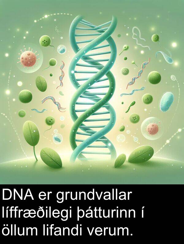 þátturinn: DNA er grundvallar líffræðilegi þátturinn í öllum lifandi verum.