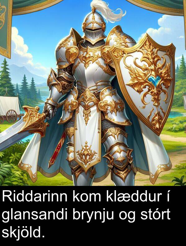 klæddur: Riddarinn kom klæddur í glansandi brynju og stórt skjöld.