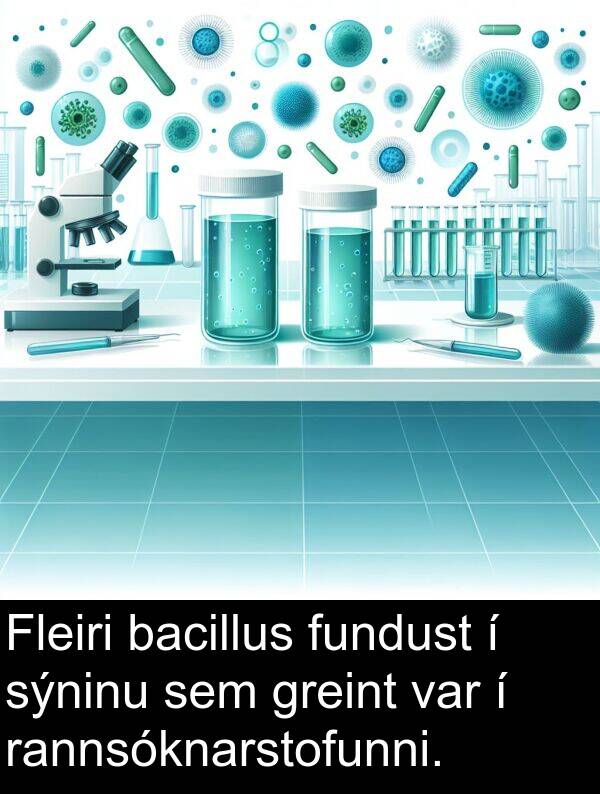rannsóknarstofunni: Fleiri bacillus fundust í sýninu sem greint var í rannsóknarstofunni.