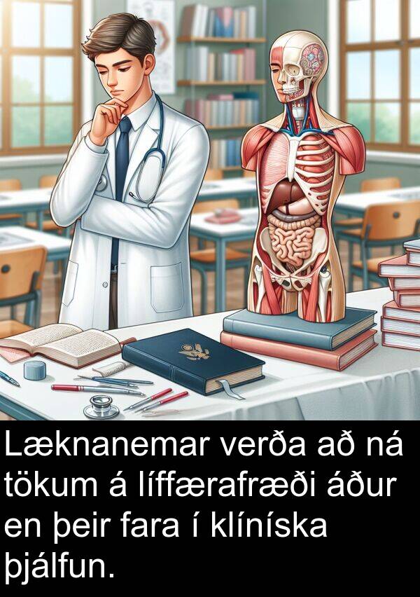 þeir: Læknanemar verða að ná tökum á líffærafræði áður en þeir fara í klíníska þjálfun.