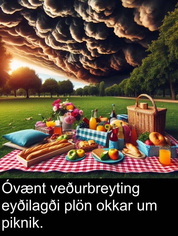okkar: Óvænt veðurbreyting eyðilagði plön okkar um piknik.