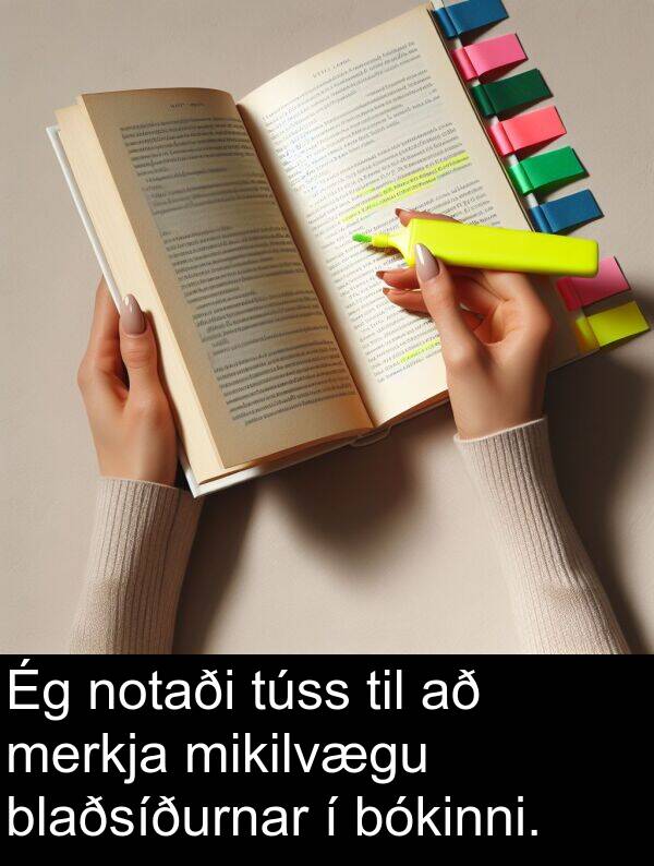 merkja: Ég notaði túss til að merkja mikilvægu blaðsíðurnar í bókinni.
