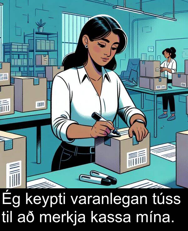 merkja: Ég keypti varanlegan túss til að merkja kassa mína.