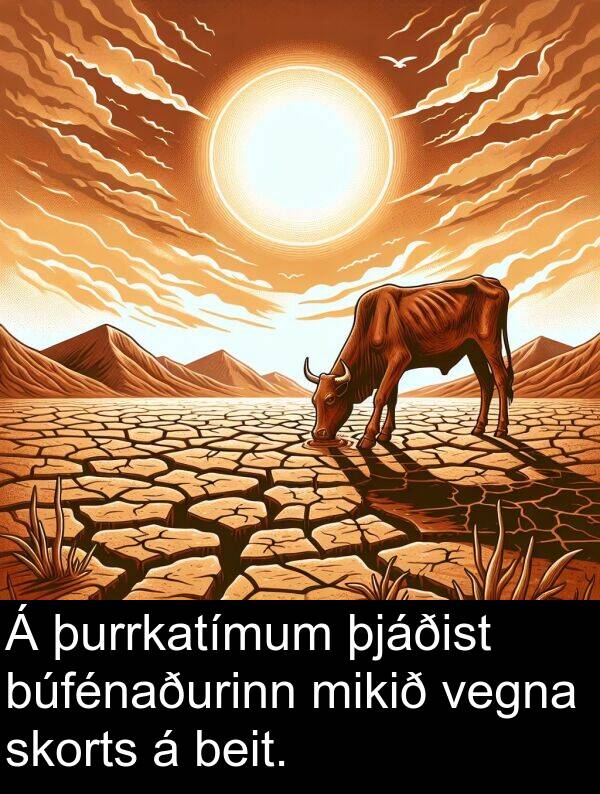 þjáðist: Á þurrkatímum þjáðist búfénaðurinn mikið vegna skorts á beit.