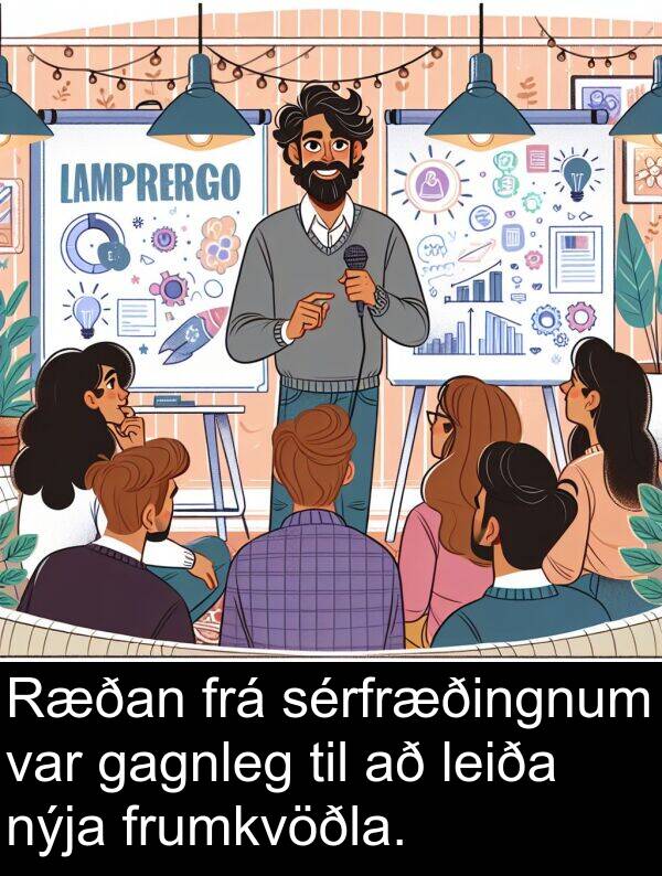 gagnleg: Ræðan frá sérfræðingnum var gagnleg til að leiða nýja frumkvöðla.