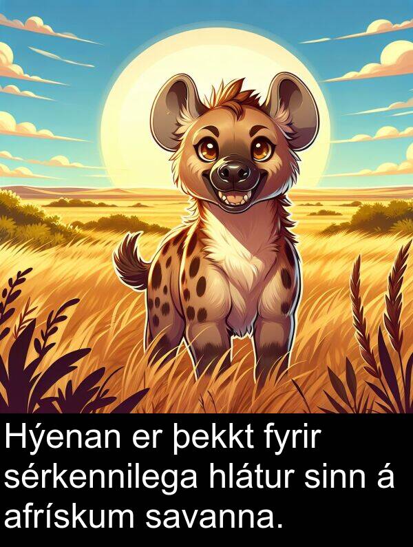 þekkt: Hýenan er þekkt fyrir sérkennilega hlátur sinn á afrískum savanna.