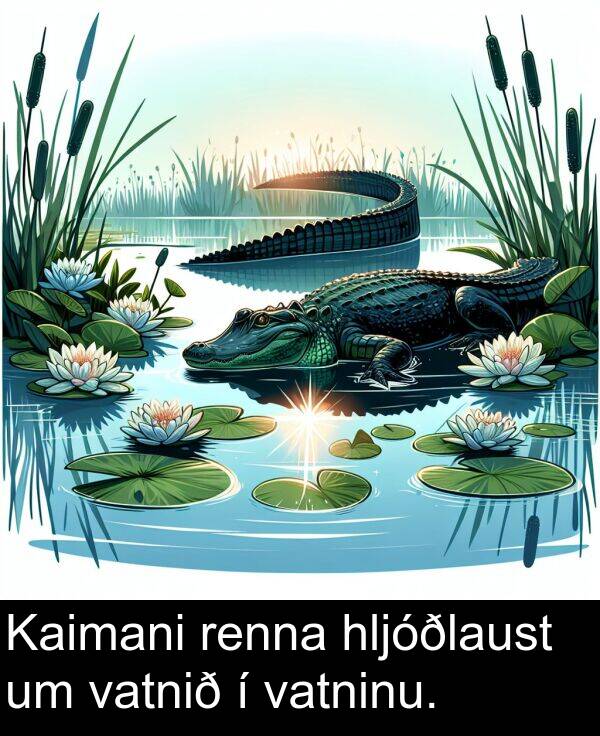 renna: Kaimani renna hljóðlaust um vatnið í vatninu.