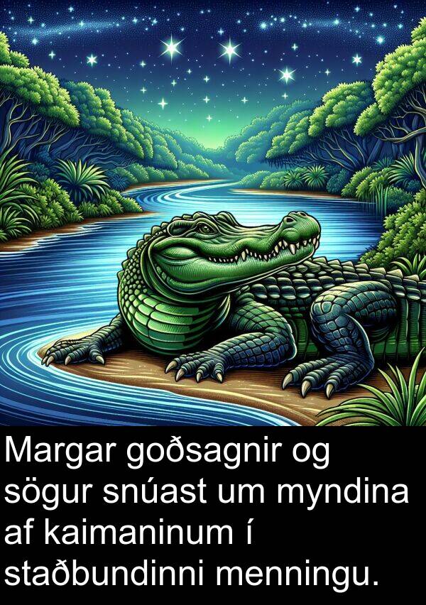 menningu: Margar goðsagnir og sögur snúast um myndina af kaimaninum í staðbundinni menningu.