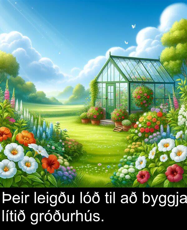 leigðu: Þeir leigðu lóð til að byggja lítið gróðurhús.