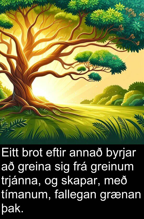 þak: Eitt brot eftir annað byrjar að greina sig frá greinum trjánna, og skapar, með tímanum, fallegan grænan þak.