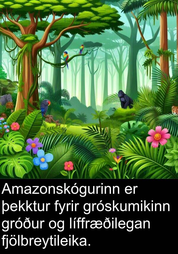 þekktur: Amazonskógurinn er þekktur fyrir gróskumikinn gróður og líffræðilegan fjölbreytileika.
