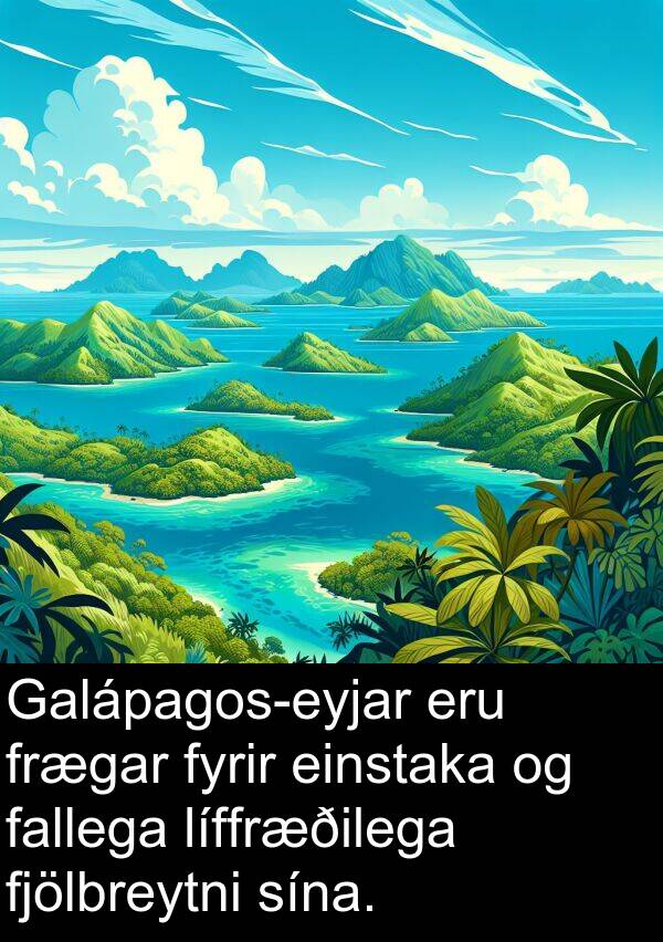 fallega: Galápagos-eyjar eru frægar fyrir einstaka og fallega líffræðilega fjölbreytni sína.