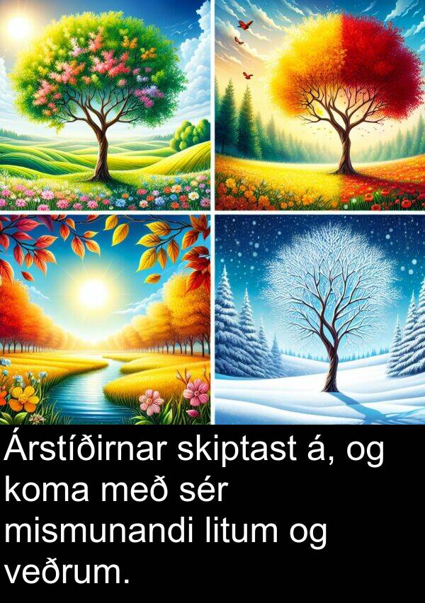 litum: Árstíðirnar skiptast á, og koma með sér mismunandi litum og veðrum.