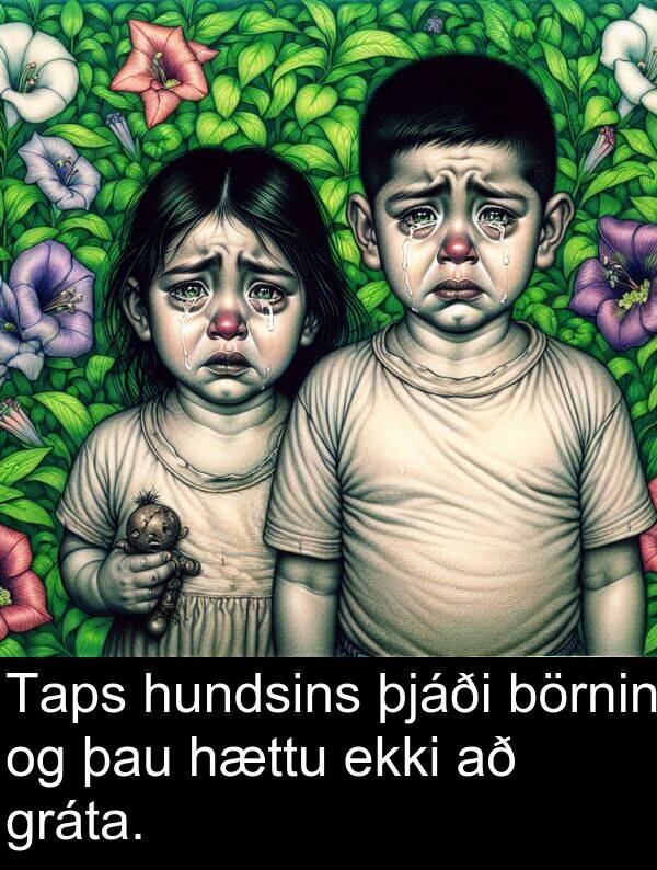 hundsins: Taps hundsins þjáði börnin og þau hættu ekki að gráta.