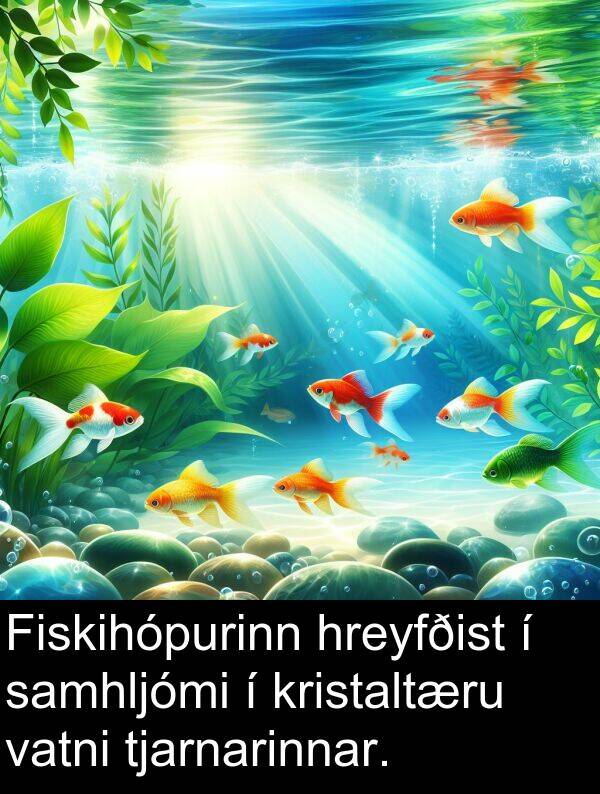 vatni: Fiskihópurinn hreyfðist í samhljómi í kristaltæru vatni tjarnarinnar.