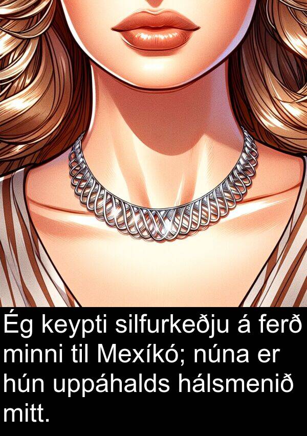 hálsmenið: Ég keypti silfurkeðju á ferð minni til Mexíkó; núna er hún uppáhalds hálsmenið mitt.