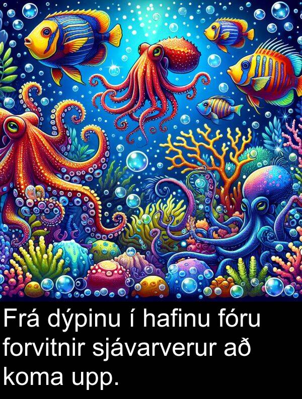 dýpinu: Frá dýpinu í hafinu fóru forvitnir sjávarverur að koma upp.