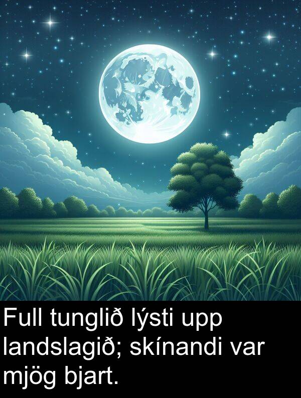 landslagið: Full tunglið lýsti upp landslagið; skínandi var mjög bjart.