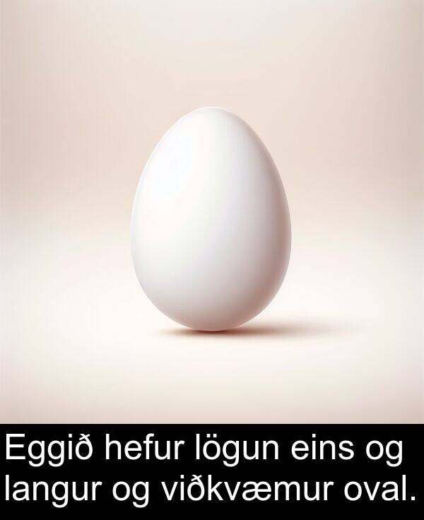 eins: Eggið hefur lögun eins og langur og viðkvæmur oval.