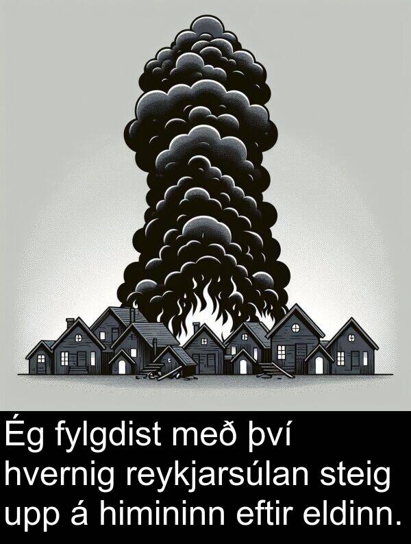 eldinn: Ég fylgdist með því hvernig reykjarsúlan steig upp á himininn eftir eldinn.