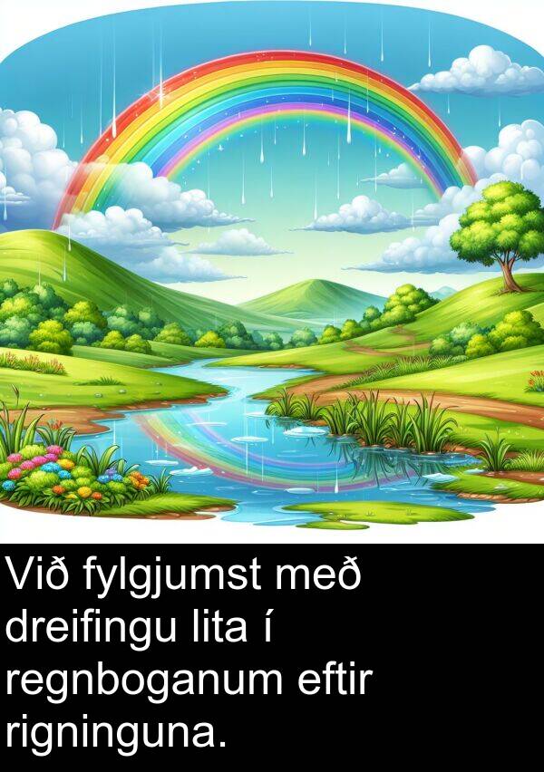 regnboganum: Við fylgjumst með dreifingu lita í regnboganum eftir rigninguna.