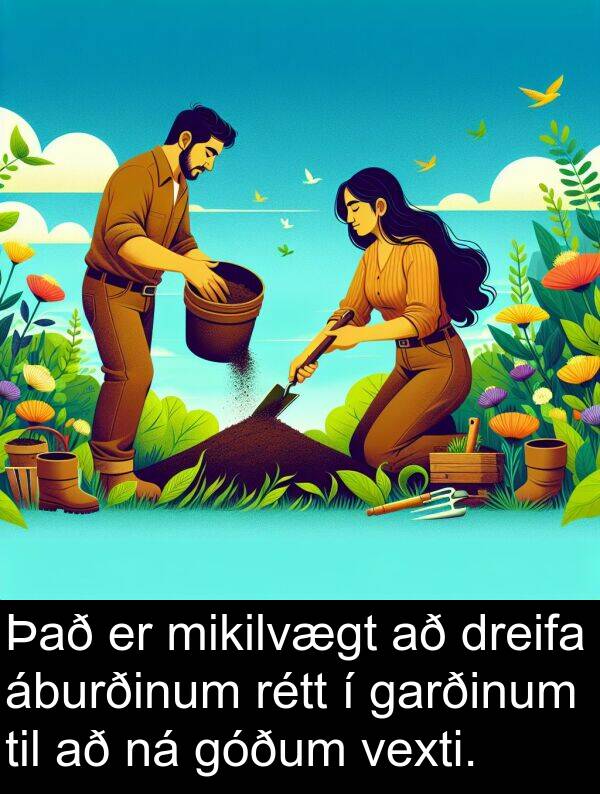 rétt: Það er mikilvægt að dreifa áburðinum rétt í garðinum til að ná góðum vexti.