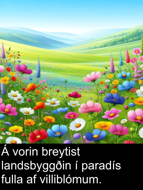 paradís: Á vorin breytist landsbyggðin í paradís fulla af villiblómum.