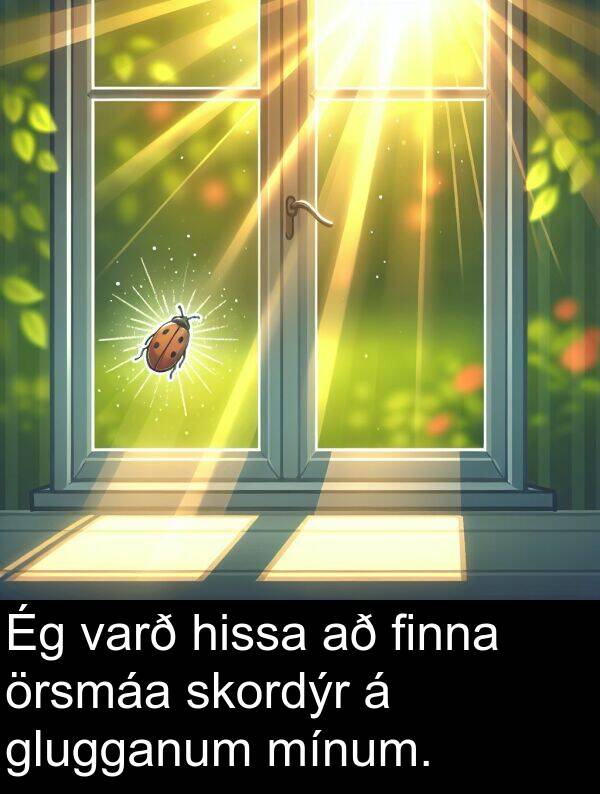 finna: Ég varð hissa að finna örsmáa skordýr á glugganum mínum.