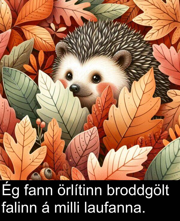 falinn: Ég fann örlítinn broddgölt falinn á milli laufanna.
