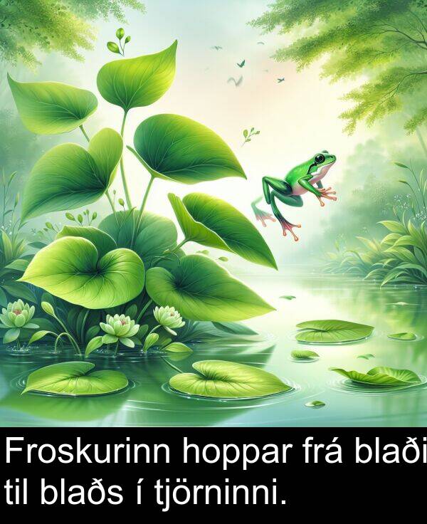 tjörninni: Froskurinn hoppar frá blaði til blaðs í tjörninni.