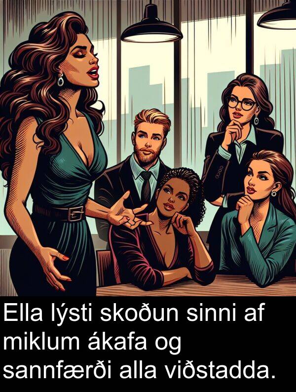 skoðun: Ella lýsti skoðun sinni af miklum ákafa og sannfærði alla viðstadda.