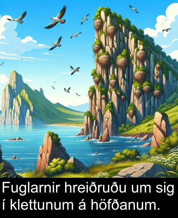 klettunum: Fuglarnir hreiðruðu um sig í klettunum á höfðanum.