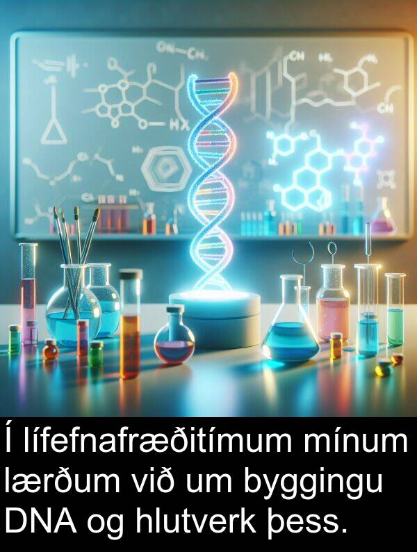 þess: Í lífefnafræðitímum mínum lærðum við um byggingu DNA og hlutverk þess.