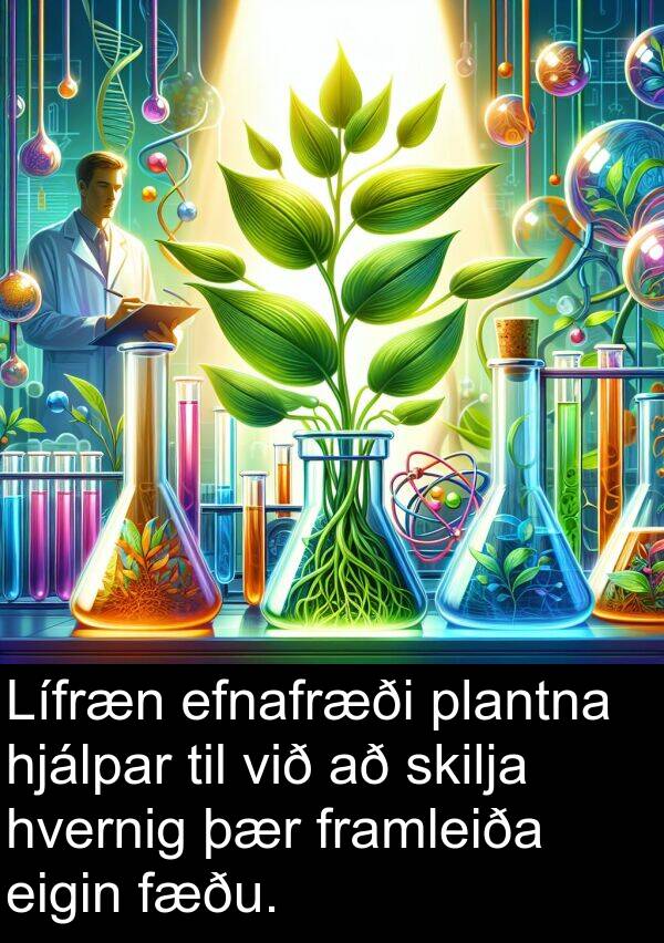 eigin: Lífræn efnafræði plantna hjálpar til við að skilja hvernig þær framleiða eigin fæðu.
