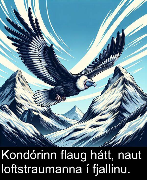 fjallinu: Kondórinn flaug hátt, naut loftstraumanna í fjallinu.