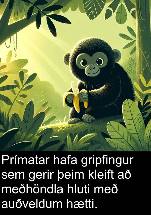 þeim: Prímatar hafa gripfingur sem gerir þeim kleift að meðhöndla hluti með auðveldum hætti.