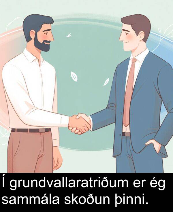 skoðun: Í grundvallaratriðum er ég sammála skoðun þinni.