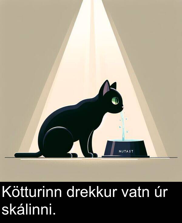 vatn: Kötturinn drekkur vatn úr skálinni.