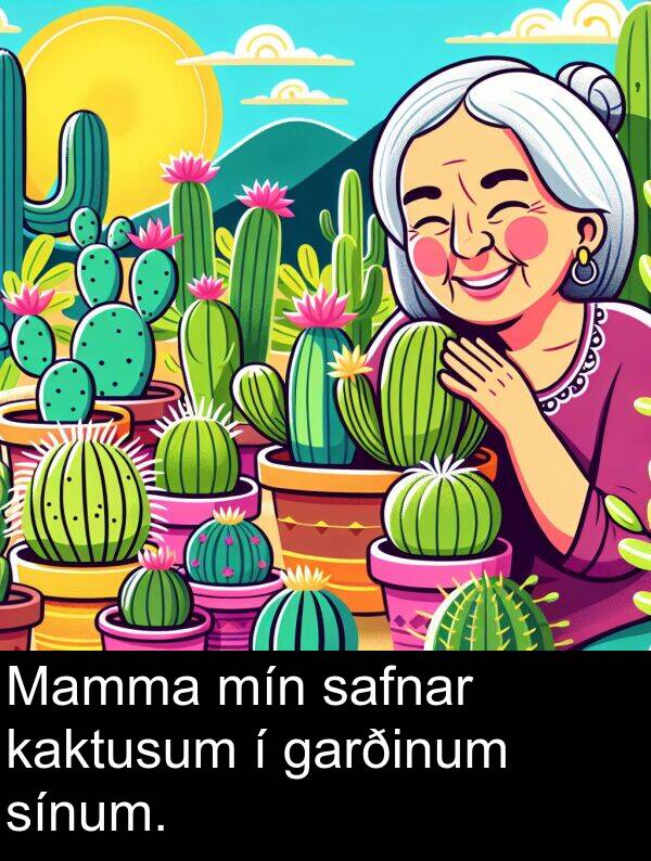 garðinum: Mamma mín safnar kaktusum í garðinum sínum.