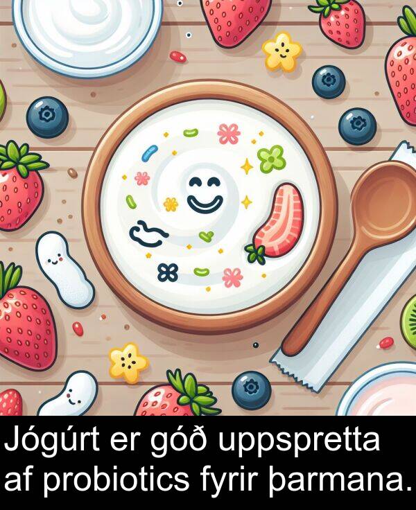 þarmana: Jógúrt er góð uppspretta af probiotics fyrir þarmana.