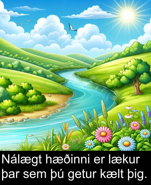 þig: Nálægt hæðinni er lækur þar sem þú getur kælt þig.