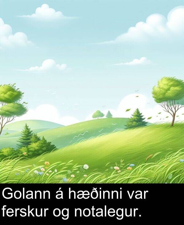 ferskur: Golann á hæðinni var ferskur og notalegur.