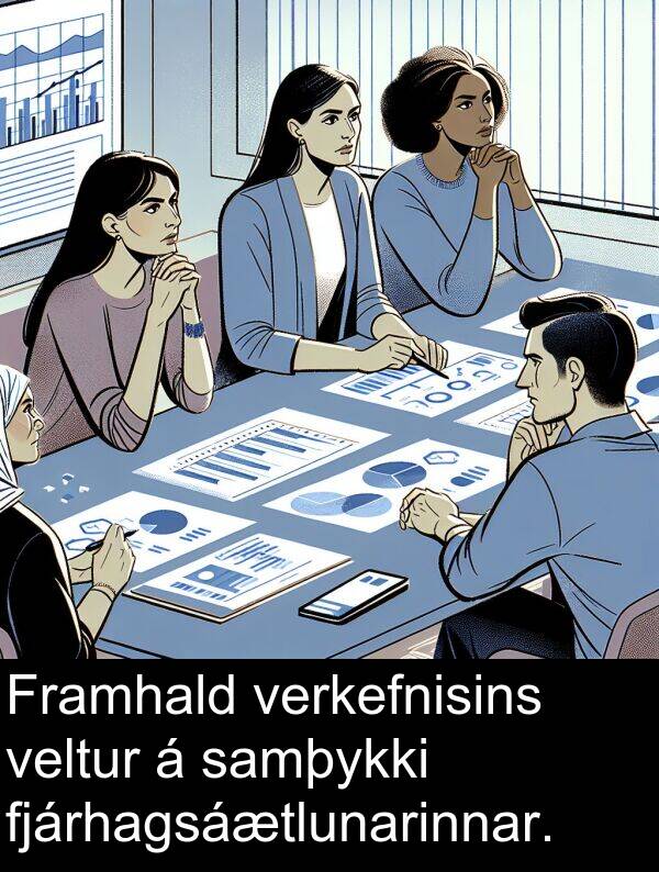 veltur: Framhald verkefnisins veltur á samþykki fjárhagsáætlunarinnar.