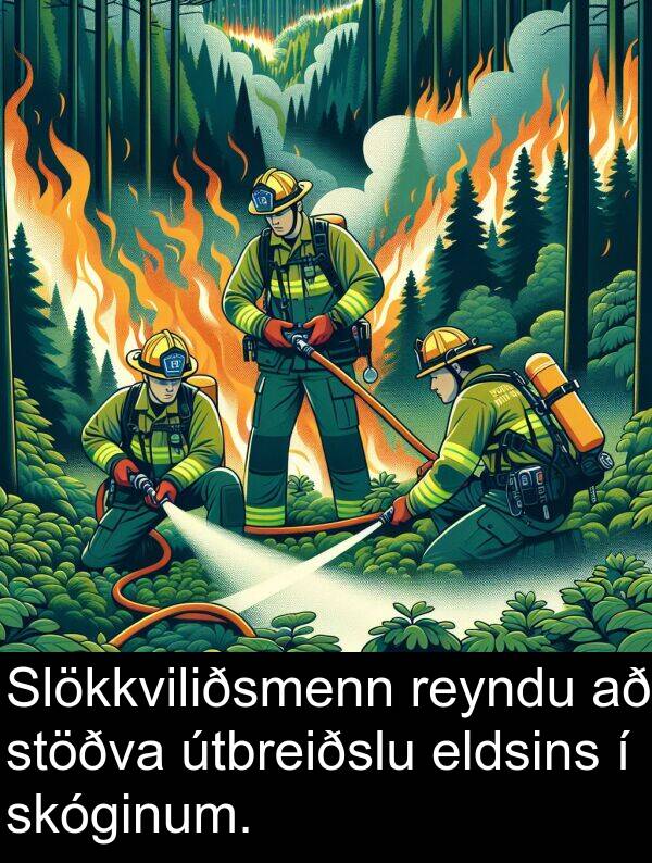reyndu: Slökkviliðsmenn reyndu að stöðva útbreiðslu eldsins í skóginum.